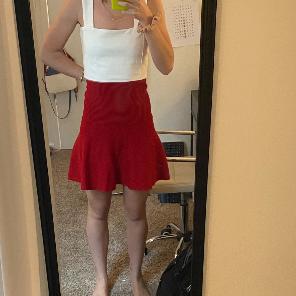 Zara Skirt